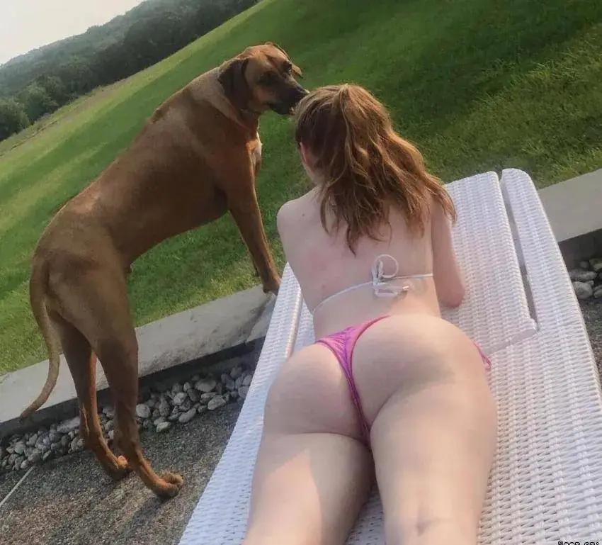 CentroOfAttention94